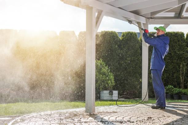 Best Building Exterior Washing  in Hamilton, MT